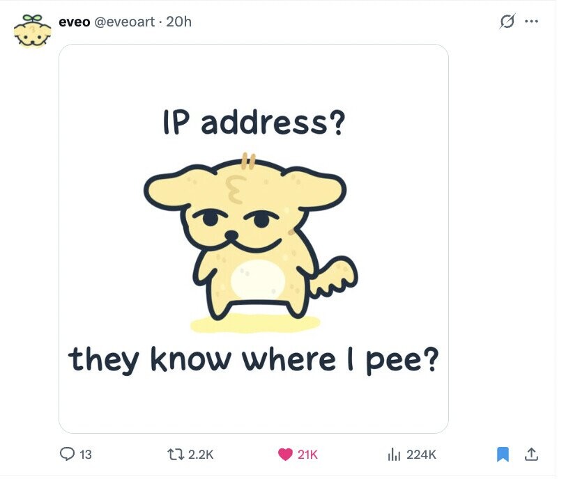 G ... eveo @eveoart 20h IP address? they know where I pee? 13 2.2K 21K del 224K 