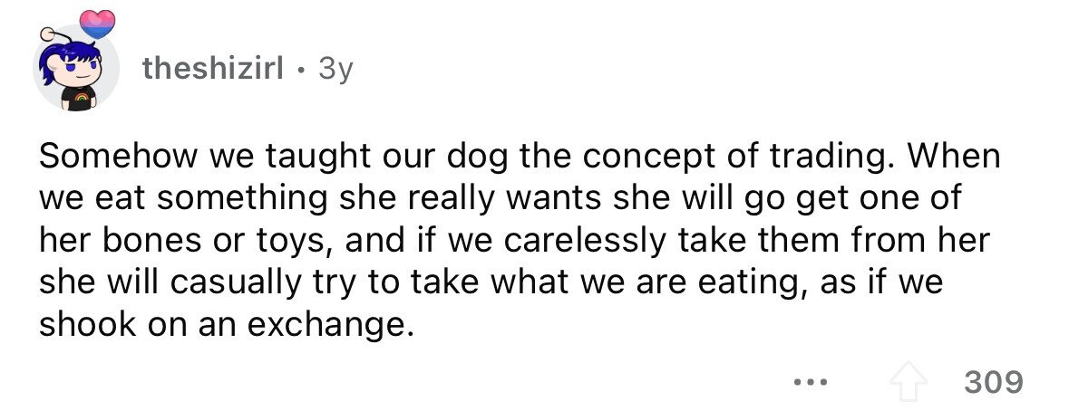 theshizirl . 3y Somehow we taught our dog the concept of trading. When we eat something she really wants she will go get one of her bones or toys, and if we carelessly take them from her she will casually try to take what we are eating, as if we shook on an exchange. ... 309