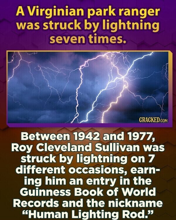A Virginian park ranger was struck by lightning seven times. CRACKED.COM Between 1942 and 1977, Roy Cleveland Sullivan was struck by lightning on 7 different occasions, earn- ing him an entry in the Guinness Book of World Records and the nickname Human Lighting Rod.