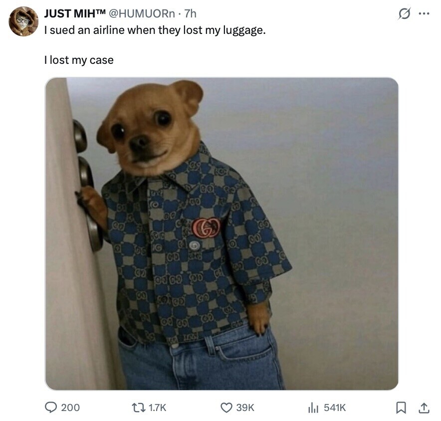 JUST MIH™ @HUMUORn 7h s... I sued an airline when they lost my luggage. I lost my case 200 1.7K 39K 541K