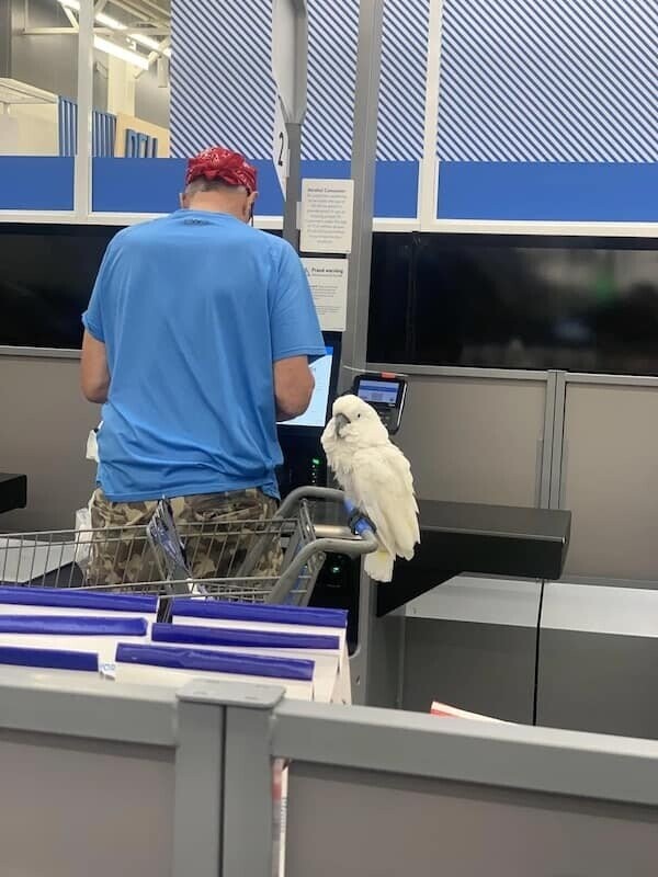 Photos Where People of Walmart Show Up and Show Out