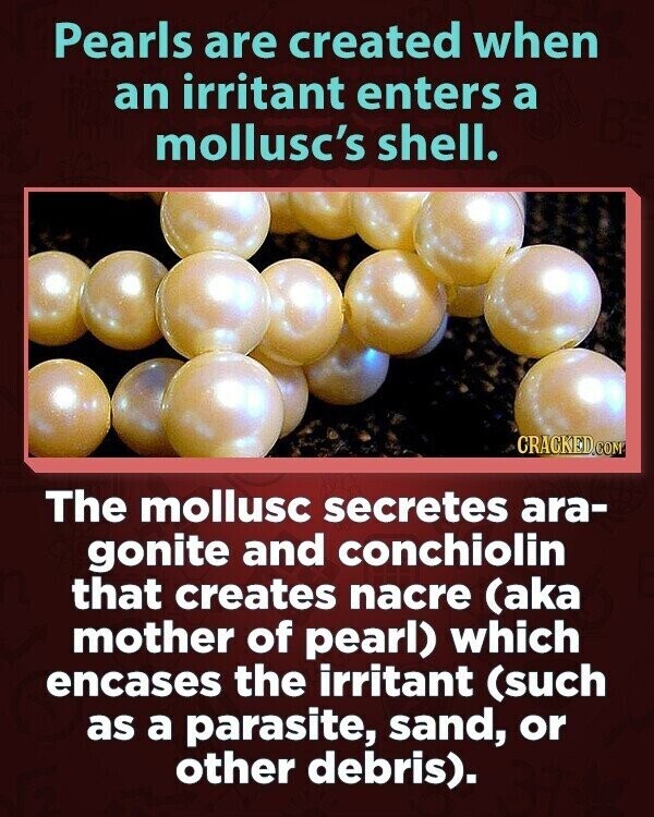 Pearls are created when an irritant enters a mollusc's shell. CRACKED.COM The mollusc secretes ara- gonite and conchiolin that creates nacre (aka mother of pearl) which encases the irritant (such as a parasite, sand, or other debris).