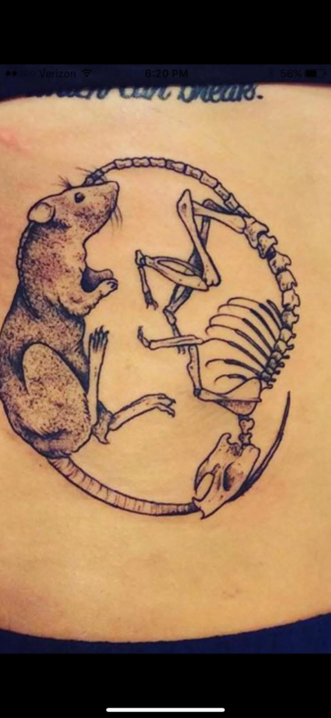 56% ..... Verizon 6:20 PM and commo