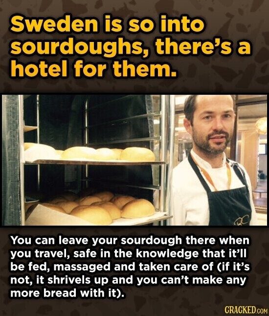 Sweden is so into sourdoughs, there's a hotel for them. You can leave your sourdough there when you travel, safe in the knowledge that it'll be fed, massaged and taken care of (if it's not, it shrivels up and you can't make any more bread with it). CRACKED.COM
