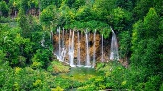 Fascinating Photos of Nature at its Most Exquisite