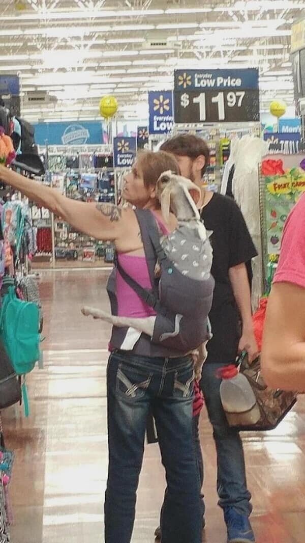 Photos Where People of Walmart Show Up and Show Out