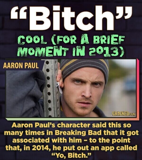 Bitch COOL (FOR A BRIEF MOMENT IN 2013) AARON PAUL CRACKED.COM Aaron Paul's character said this so many times in Breaking Bad that it got associated with him-to the point that, in 2014, he put out an app called Yo, Bitch.