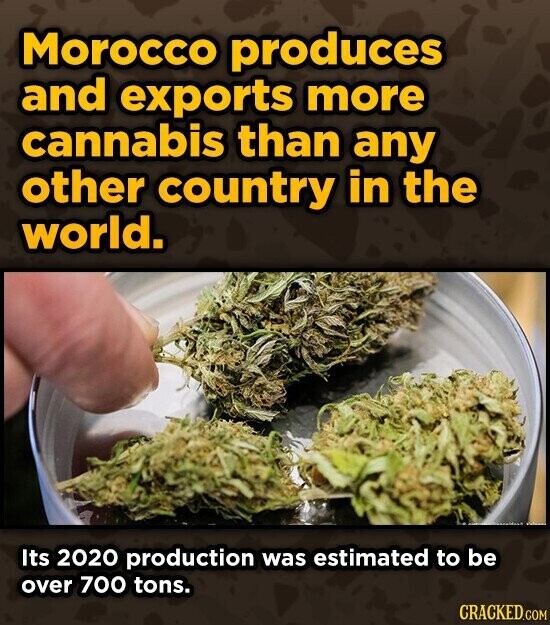 Morocco produces and exports more cannabis than any other country in the world. Its 2020 production was estimated to be over 700 tons. CRACKED.COM
