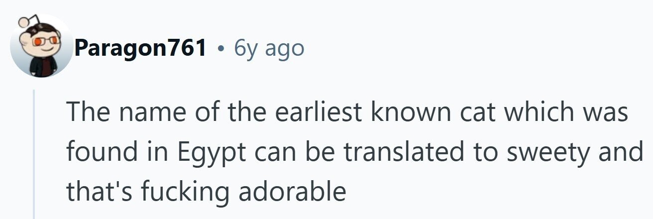 Paragon761 . 6y ago The name of the earliest known cat which was found in Egypt can be translated to sweety and that's fucking adorable