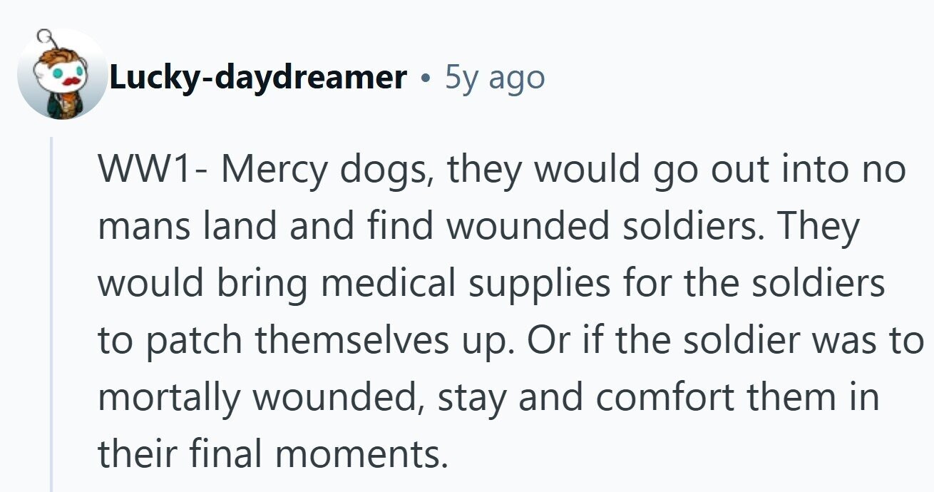 Lucky-daydreamer 5y ago WW1- Mercy dogs, they would go out into no mans land and find wounded soldiers. They would bring medical supplies for the soldiers to patch themselves up. Or if the soldier was to mortally wounded, stay and comfort them in their final moments.