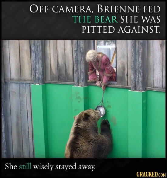 OFF-CAMERA, BRIENNE FED THE BEAR SHE WAS PITTED AGAINST. She still wisely stayed away. CRACKED.COM