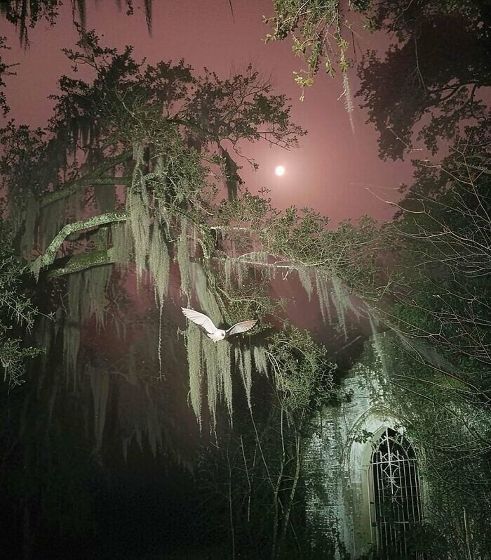 One-of-a-Kind Photos Highlighting Our Freaky World