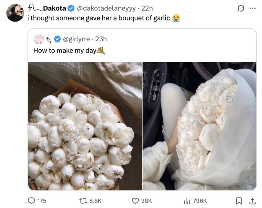 Dakota @dakotadelaneyyy 22h O ... i thought someone gave her a bouquet of garlic @girlyrre 23h it How to make my day 175 8.6K 38K del 796K