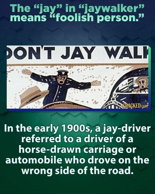The jay in jaywalker means foolish person. ON'T JAY WALK CRACKED.COM In the early 1900s, a jay-driver referred to a driver of a horse-drawn carriage or automobile who drove on the wrong side of the road.