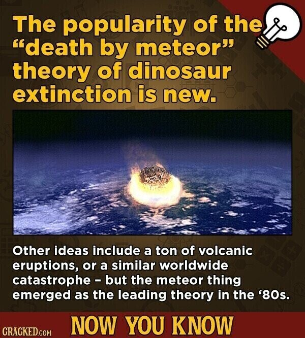 The popularity of the death by meteor theory of dinosaur extinction is new. Other ideas include a ton of volcanic eruptions, or a similar worldwide catastrophe - but the meteor thing emerged as the leading theory in the '80s. NOW YOU KNOW CRACKED.COM