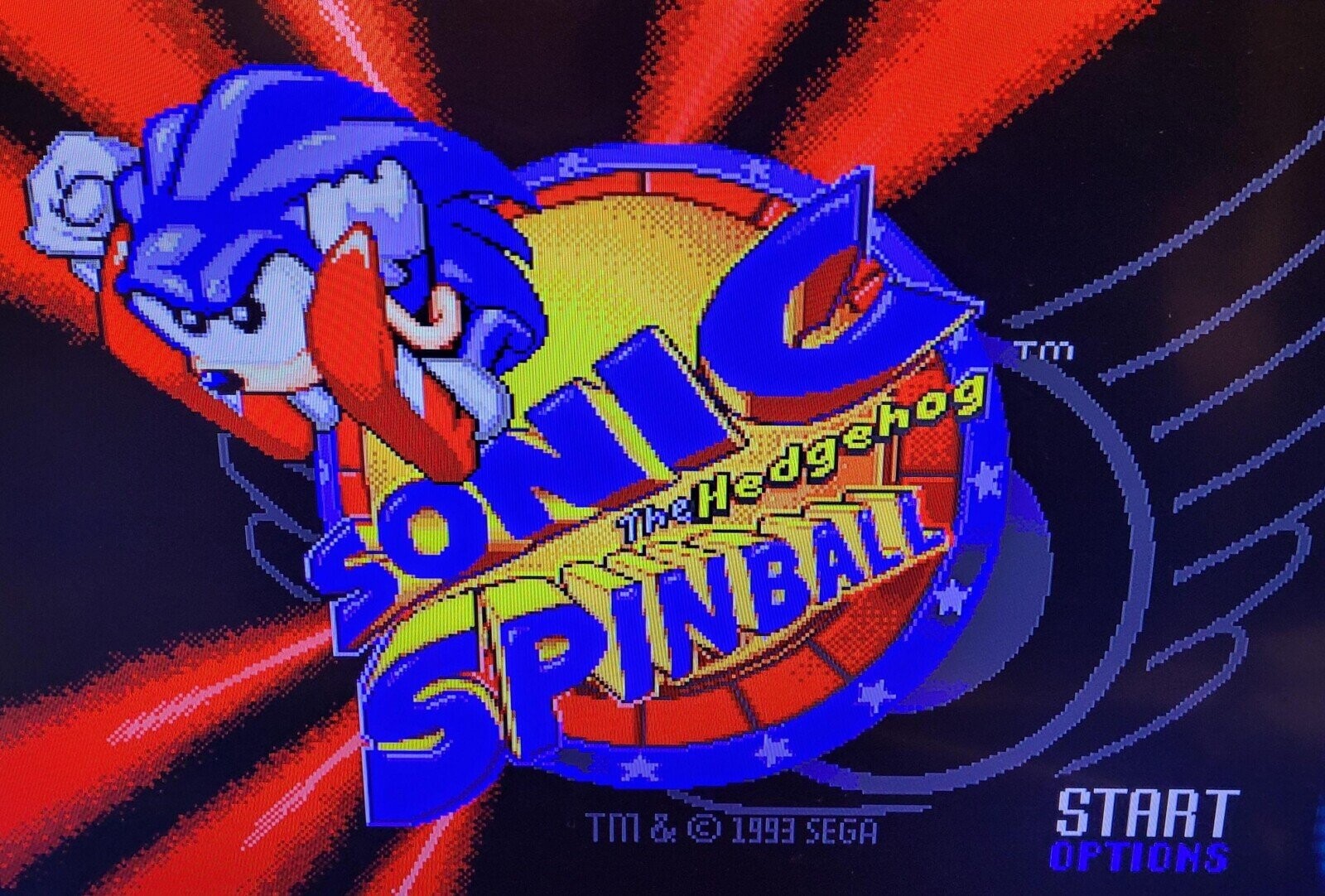 TM TheHedgehog SONI SPINBALL START TM & © 1993 SEGA OPTIONS