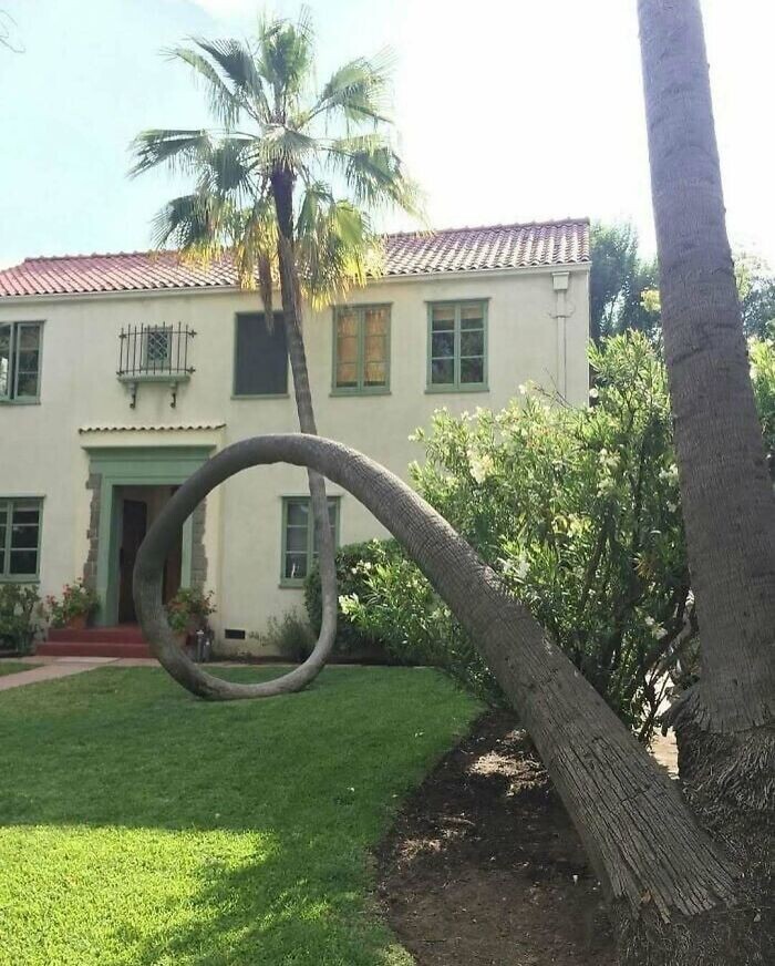 One-of-a-Kind Photos Highlighting Our Freaky World