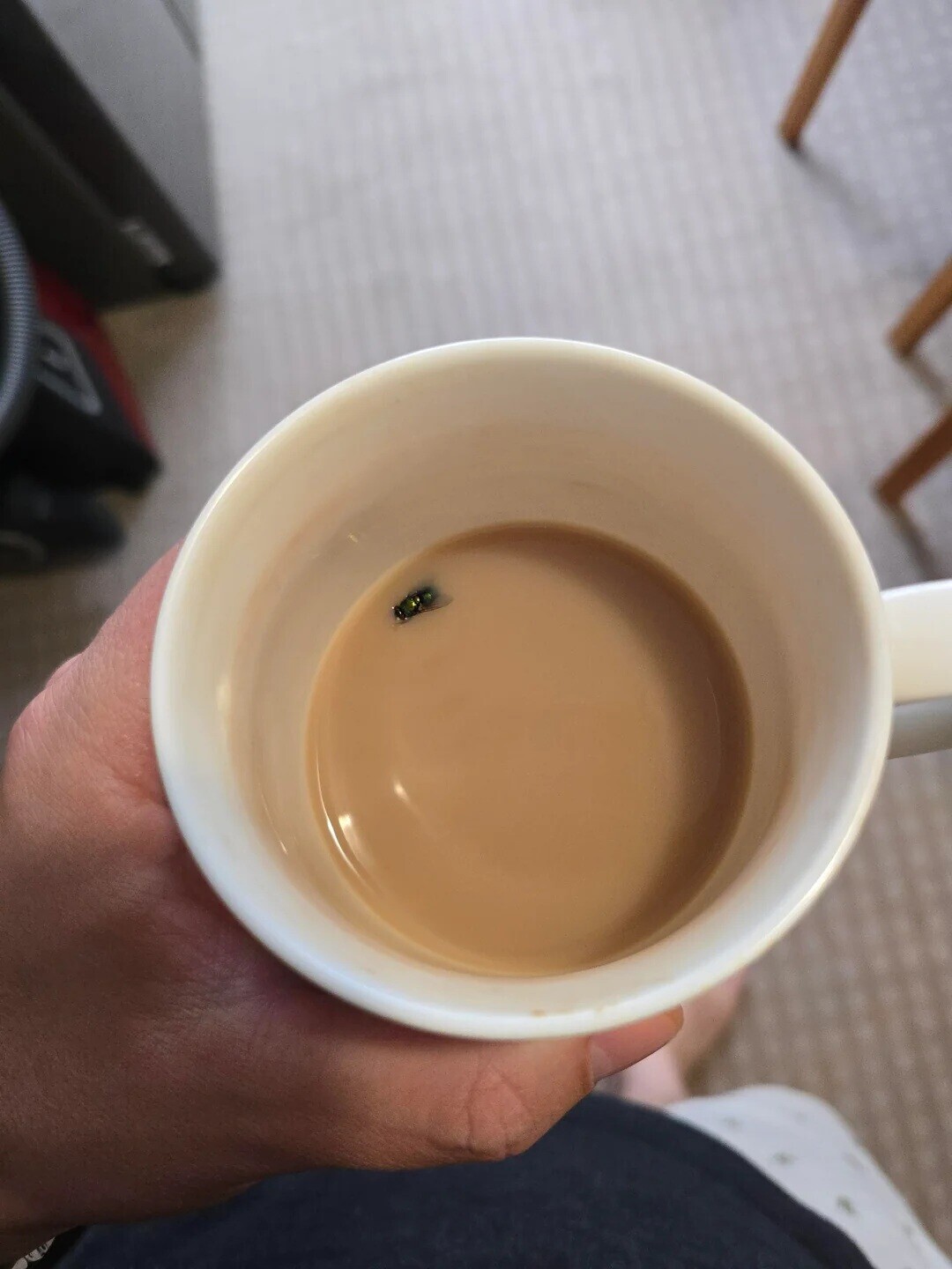 Photos Where People Ignored All Prior Advice