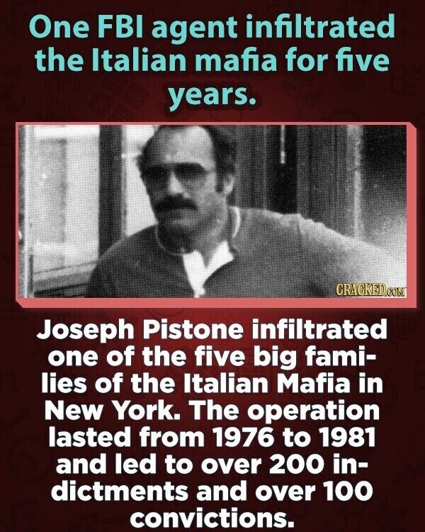 One FBI agent infiltrated the Italian mafia for five years. CRACKED.COM Joseph Pistone infiltrated one of the five big fami- lies of the Italian Mafia in New York. The operation lasted from 1976 to 1981 and led to over 200 in- dictments and over 100 convictions.