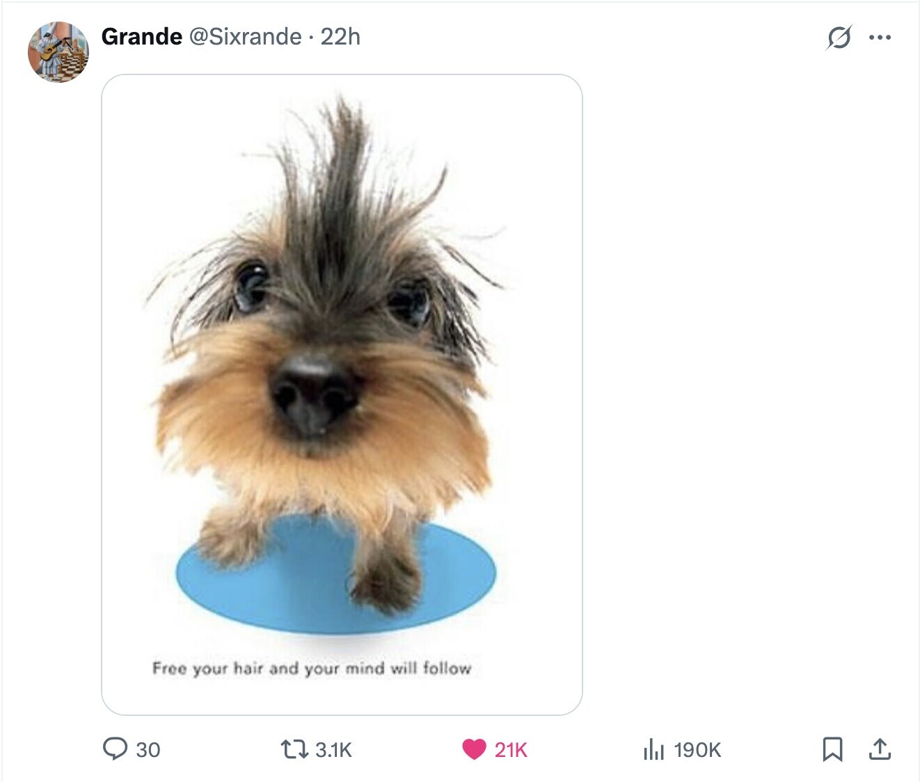 Grande @Sixrande 22h s ... Free your hair and your mind will follow 30 3.1K 190K 21K 