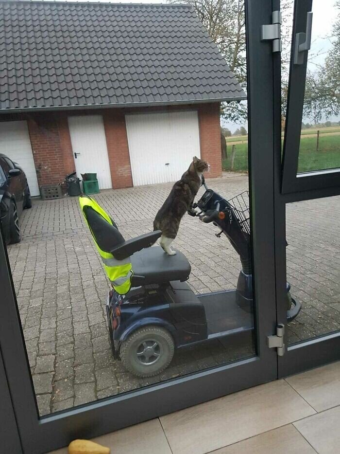 Photos Where People of Walmart Show Up and Show Out