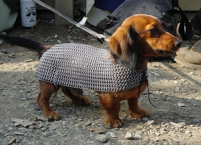 One-of-a-Kind Photos Highlighting Our Freaky World