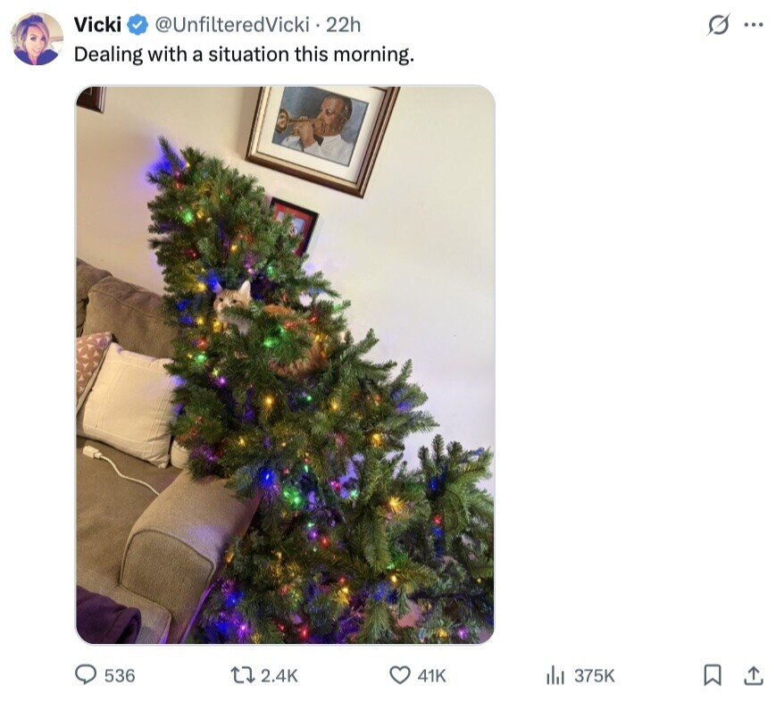 Vicki @UnfilteredVicki 22h s... Dealing with a situation this morning. 536 2.4K 41K 375K