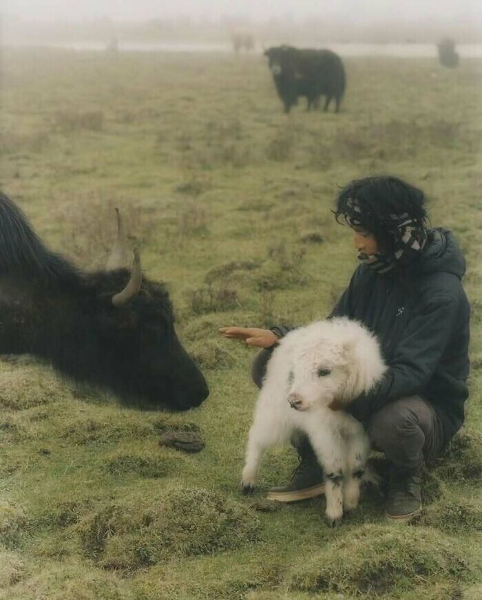 One-of-a-Kind Photos Highlighting Our Freaky World