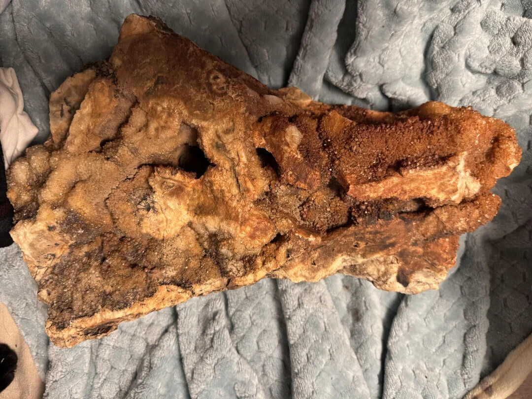 Photos That Only Become Clear With a Closer Look