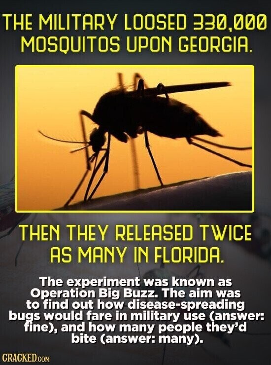 THE MILITARY LOOSED 330,000 MOSQUITOS UPON GEORGIA. THEN THEY RELEASED TWICE AS MANY IN FLORIDA. The experiment was known as Operation Big Buzz. The aim was to find out how disease-spreading bugs would fare in military use (answer: fine), and how many people they'd bite (answer: many). CRACKED.COM