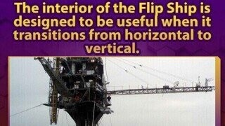 40 Random Bits of Trivia to Shampoo Into Your Brain Folds