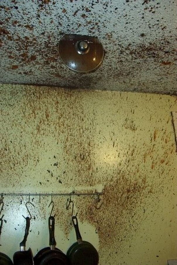 Food Fails Fit for Gordon Ramsey's 'Idiot Sandwich'