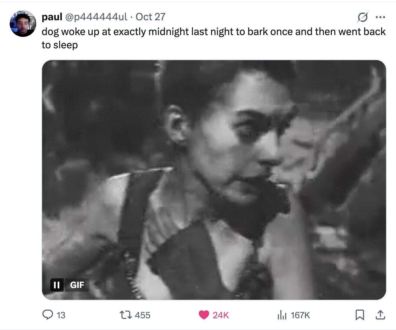 S ... paul @p444444ul Oct 27 dog woke up at exactly midnight last night to bark once and then went back to sleep GIF 13 455 24K 167K