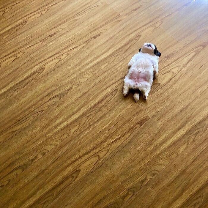 One-of-a-Kind Photos Highlighting Our Freaky World