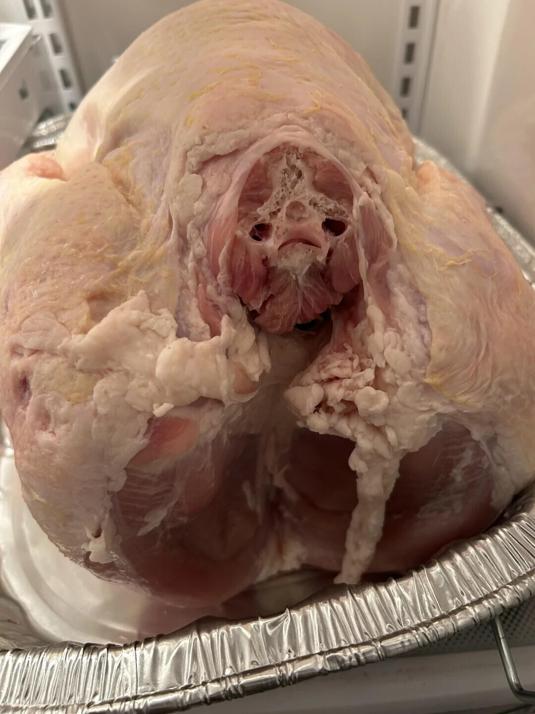 Photos That Only Become Clear With a Closer Look