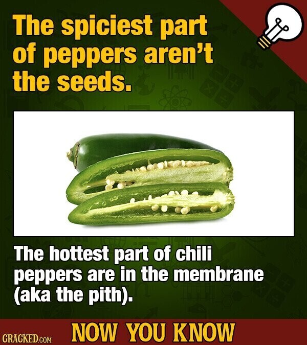 The spiciest part of peppers aren't the seeds. The hottest part of chili peppers are in the membrane (aka the pith). NOW YOU KNOW CRACKED.COM