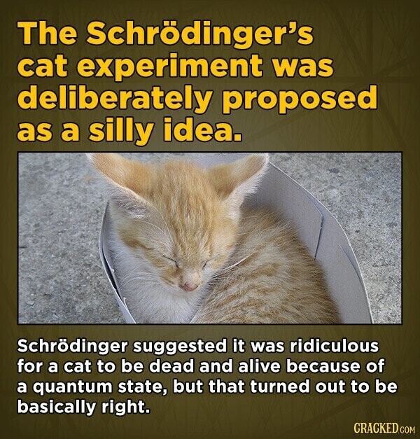 The Schrödinger's cat experiment was deliberately proposed as a silly idea. Schrödinger suggested it was ridiculous for a cat to be dead and alive because of a quantum state, but that turned out to be basically right. CRACKED.COM