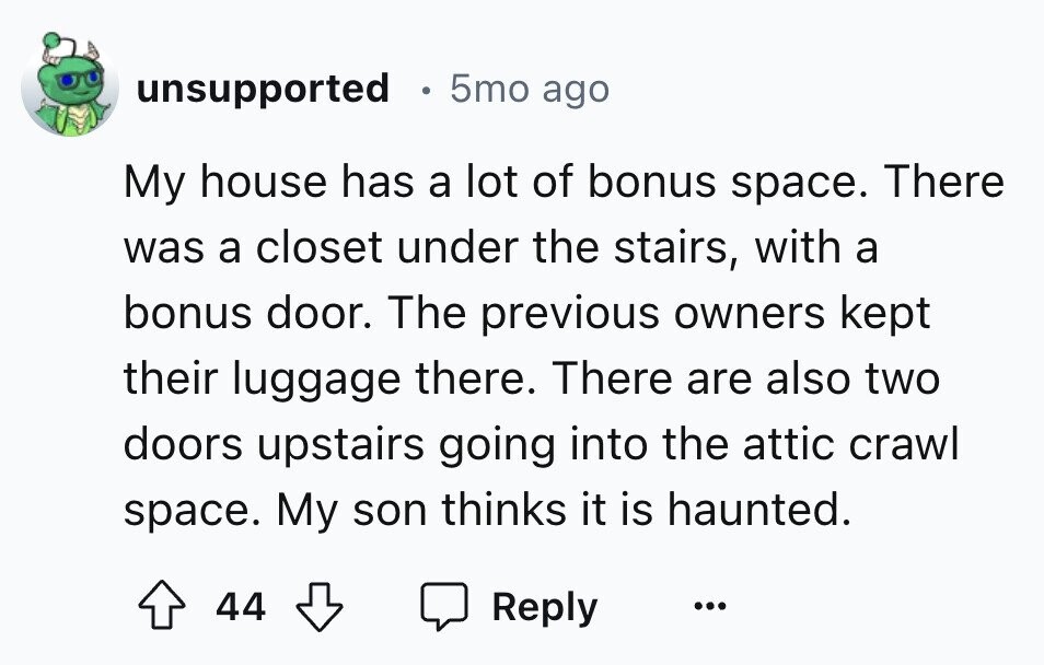 unsupported . 5mo ago My house has a lot of bonus space. There was a closet under the stairs, with a bonus door. The previous owners kept their luggage there. There are also two doors upstairs going into the attic crawl space. My son thinks it is haunted. 44 Reply ...