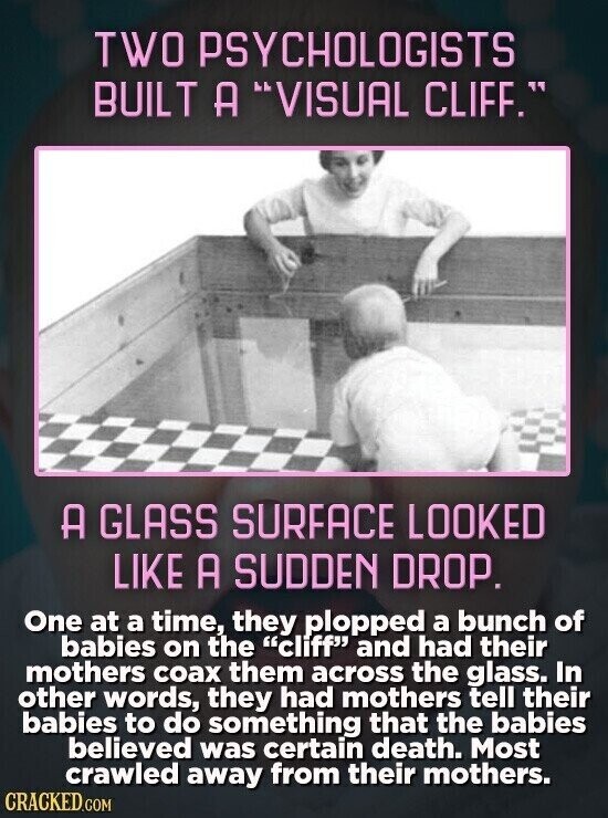 TWO PSYCHOLOGISTS BUILT A VISUAL CLIFF. A GLASS SURFACE LOOKED LIKE A SUDDEN DROP. One at a time, they plopped a bunch of babies on the cliff and had their mothers соах them across the glass. In other words, they had mothers tell their babies to do something that the babies believed was certain death. Most crawled away from their mothers. CRACKED.COM