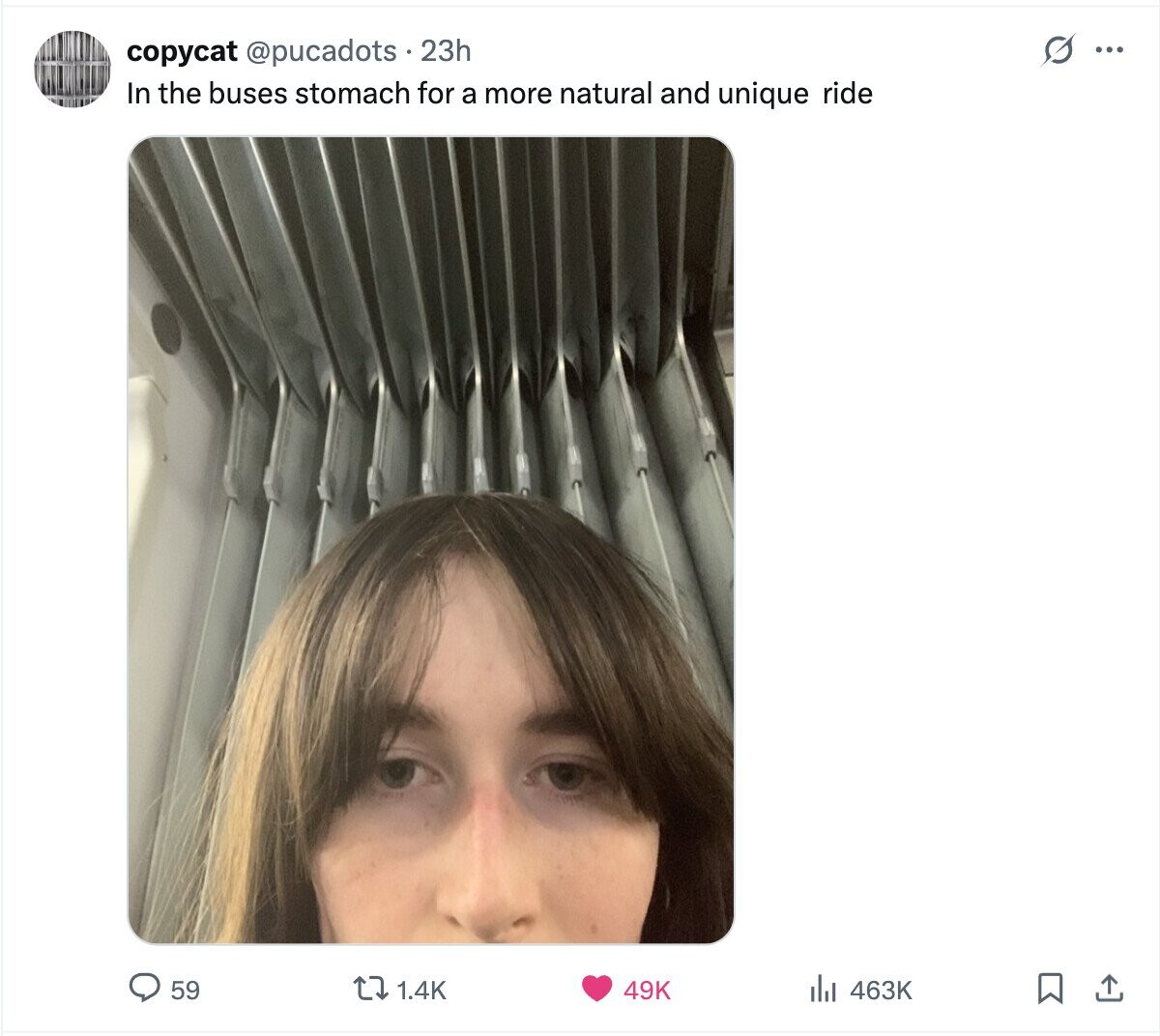 s copycat @pucadots 23h ... In the buses stomach for a more natural and unique ride 59 1.4K 49K 463K 