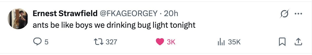 Ernest Strawfield @FKAGEORGEY.20h ... ants be like boys we drinking bug light tonight 5 327 3K 35K