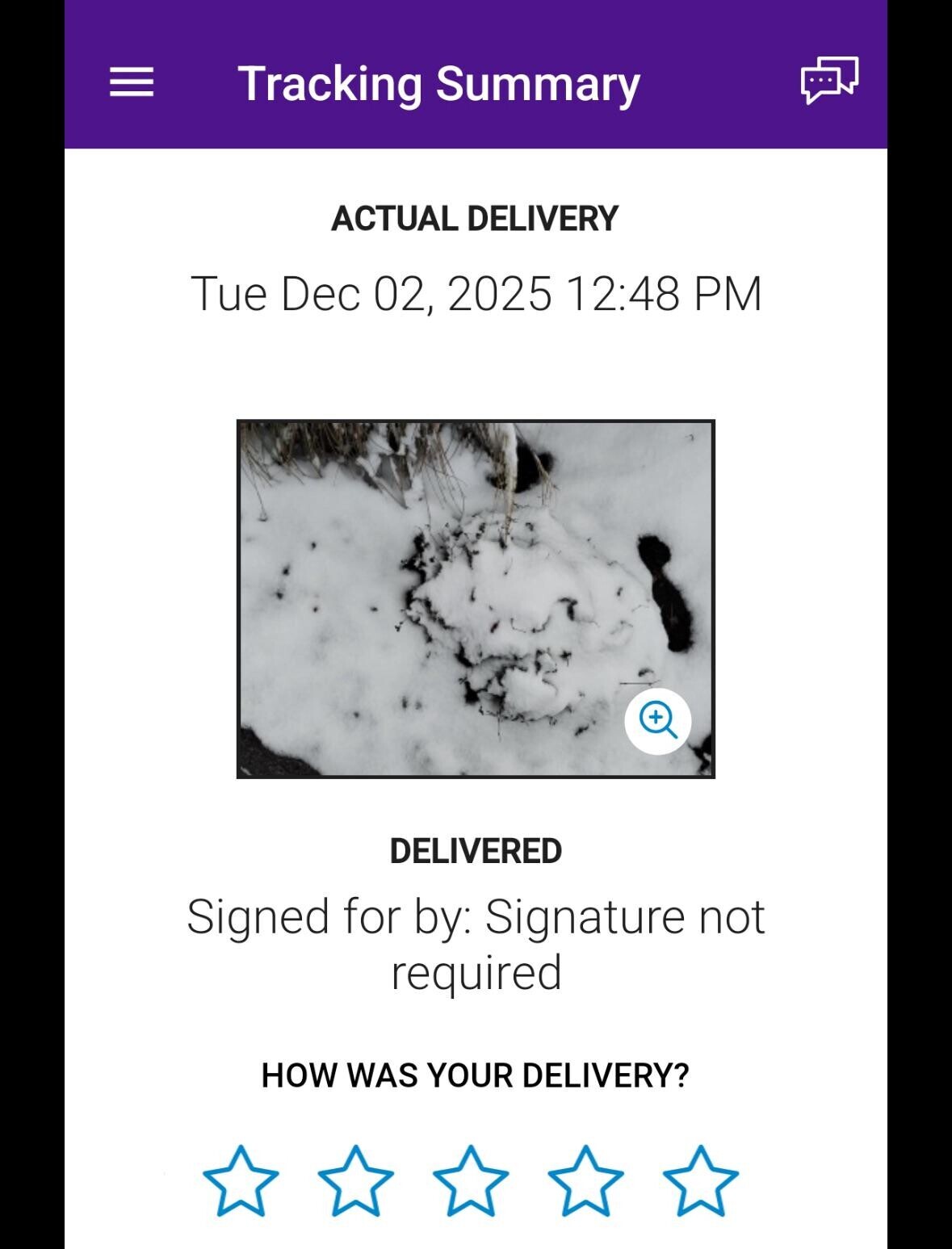 III Tracking Summary ACTUAL DELIVERY Tue Dec 02, 2025 12:48 PM + DELIVERED Signed for by: Signature not required HOW WAS YOUR DELIVERY?