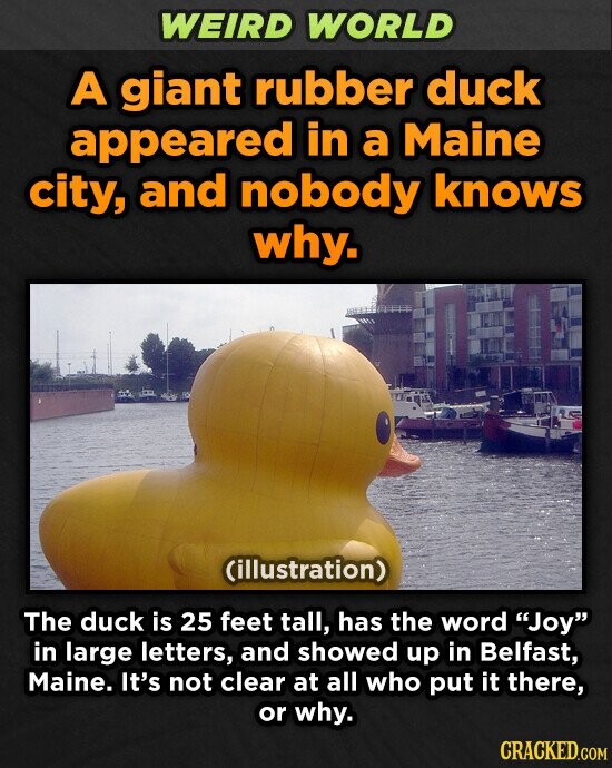 WEIRD WORLD A giant rubber duck appeared in a Maine city, and nobody knows why. (illustration) The duck is 25 feet tall, has the word Joy in large letters, and showed up in Belfast, Maine. It's not clear at all who put it there, or why. CRACKED.COM