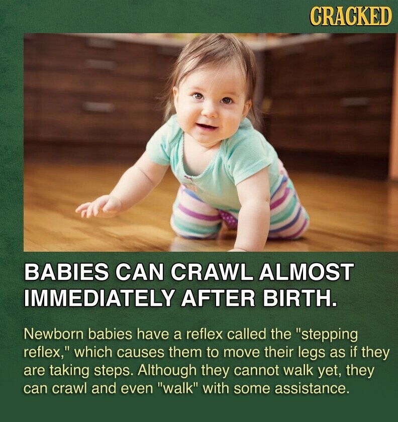 CRACKED BABIES CAN CRAWL ALMOST IMMEDIATELY AFTER BIRTH. Newborn babies have a reflex called the stepping reflex, which causes them to move their legs as if they are taking steps. Although they cannot walk yet, they can crawl and even walk with some assistance.