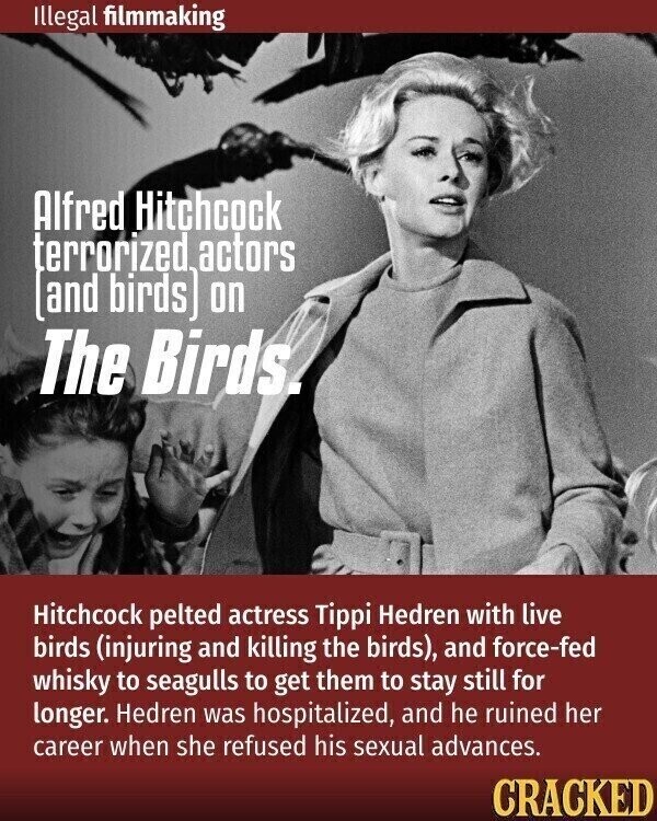 Illegal filmmaking Alfred Hitchcock terrorized actors and birds) on The Birds. Hitchcock pelted actress Tippi Hedren with live birds (injuring and killing the birds), and force-fed whisky to seagulls to get them to stay still for longer. Hedren was hospitalized, and he ruined her career when she refused his sexual advances. CRACKED