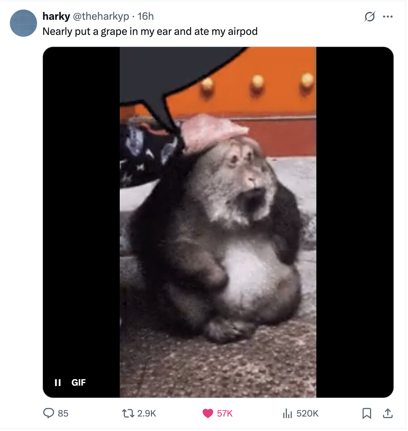 harky @theharkyp 16h G ... Nearly put a grape in my ear and ate my airpod GIF II 57K 85 2.9K 520K 