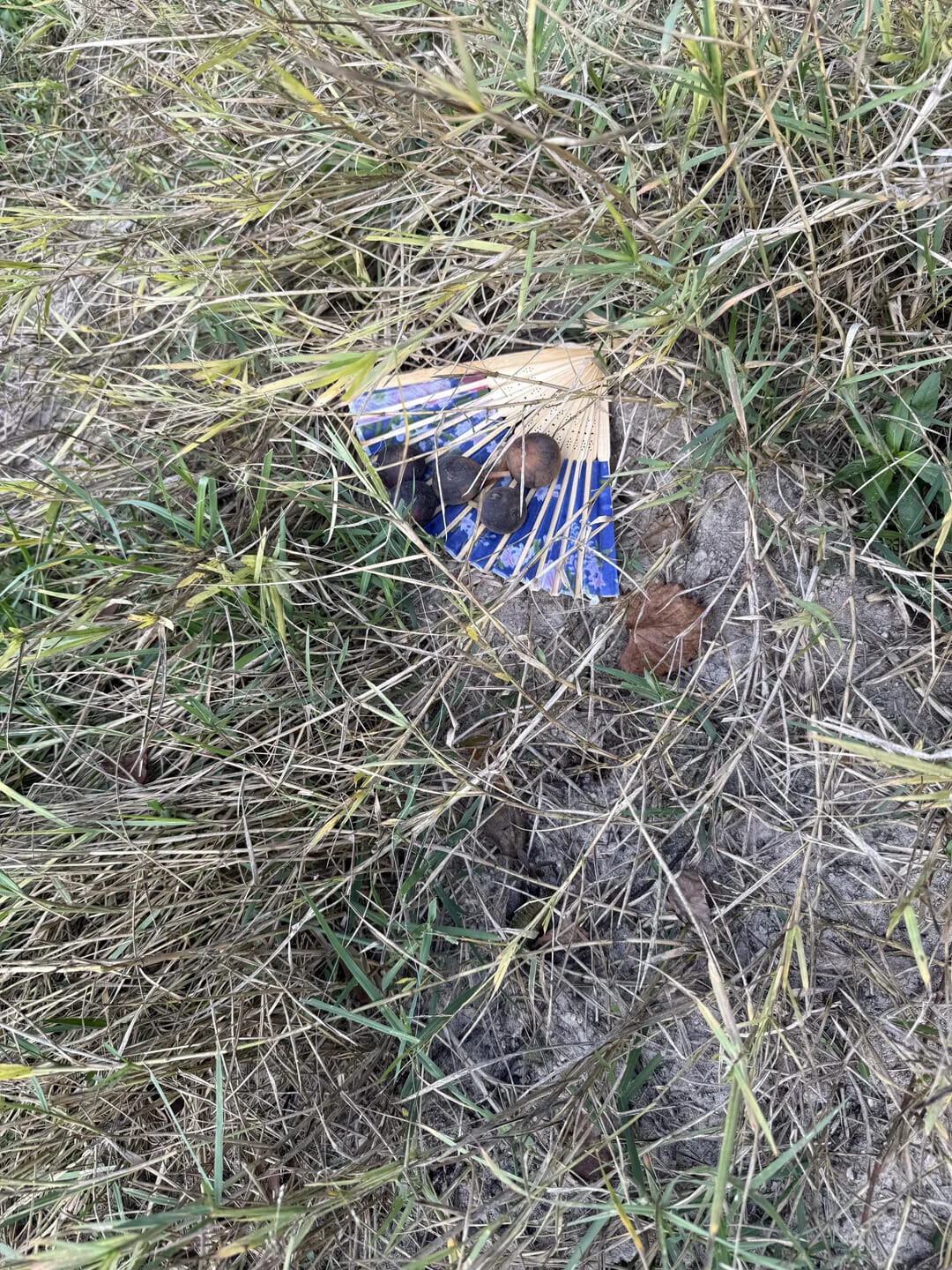 Real World Glitches Happening Right on Camera