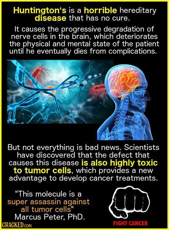 Huntington's is a horrible hereditary disease that has no cure. It causes the progressive degradation of nerve cells in the brain, which deteriorates the physical and mental state of the patient until he eventually dies from complications. But not everything is bad news. Scientists have discovered that the defect that causes this disease is also highly toxic to tumor cells, which provides a new advantage to develop cancer treatments. This molecule is a super assassin against all tumor cells Marcus Peter, PhD. FIGHT CANCER CRACKED.COM