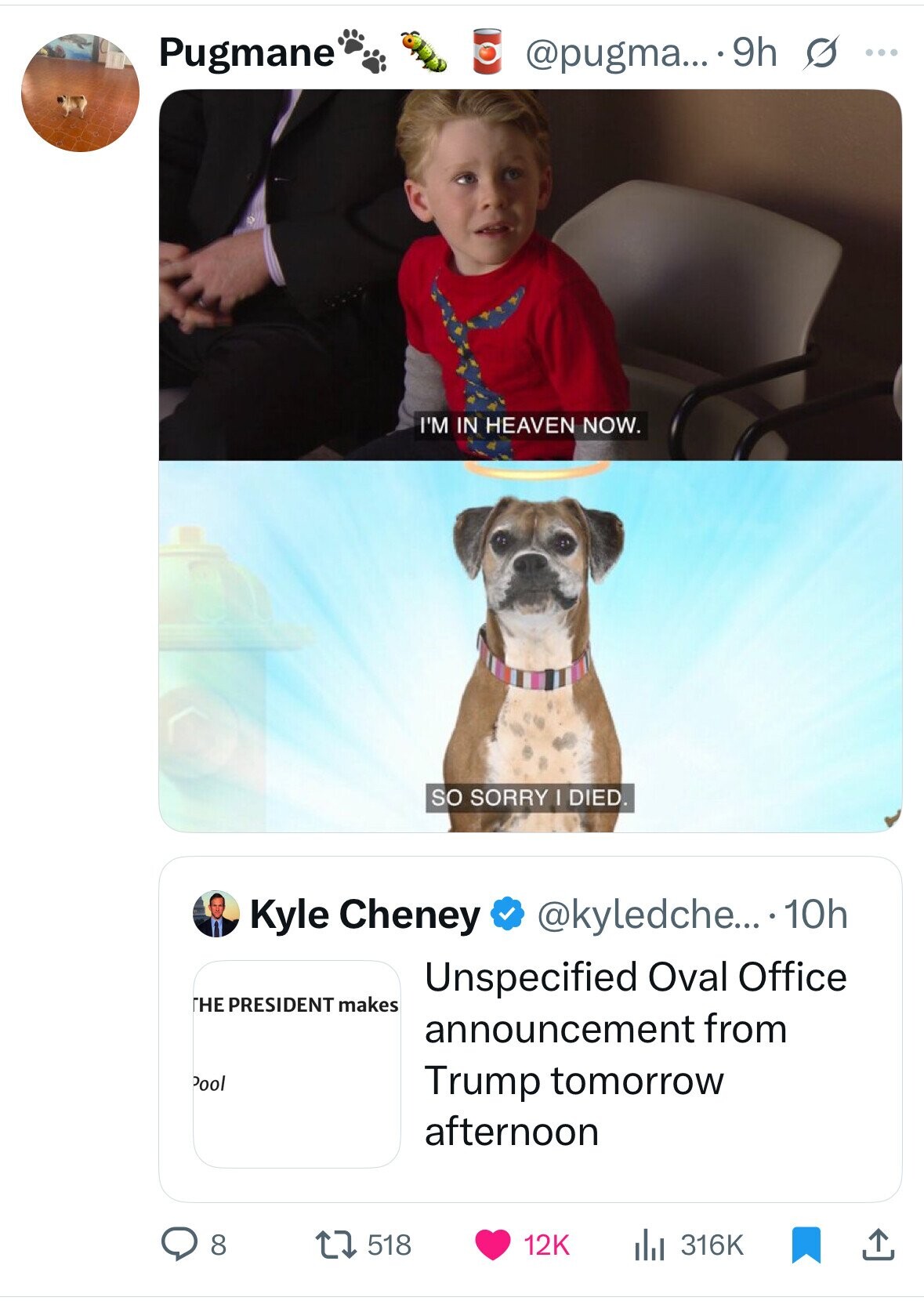 Pugmane @pugma... 9h s ... I'M IN HEAVEN NOW. so SORRY I DIED. Kyle Cheney @kyledche... 10h Unspecified Oval Office THE PRESIDENT makes announcement from Pool Trump tomorrow afternoon 8 518 12K 316K 