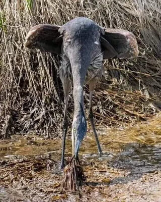 Real World Glitches Happening Right on Camera